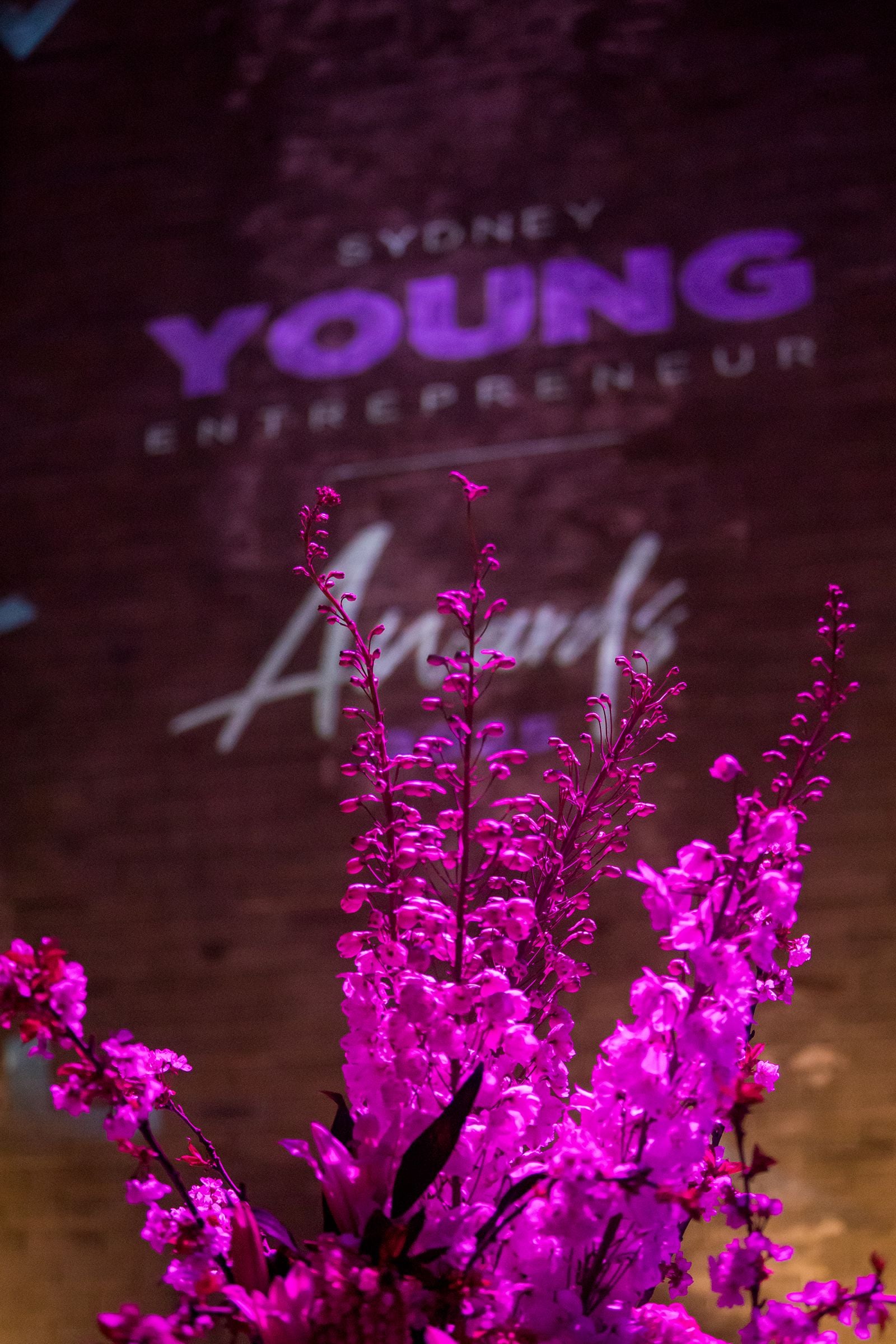 2025 Sydney Young Entrepreneur Awards Gala dinner Winners accepting trophies on stage at the 2025 Sydney Young Entrepreneur Awards